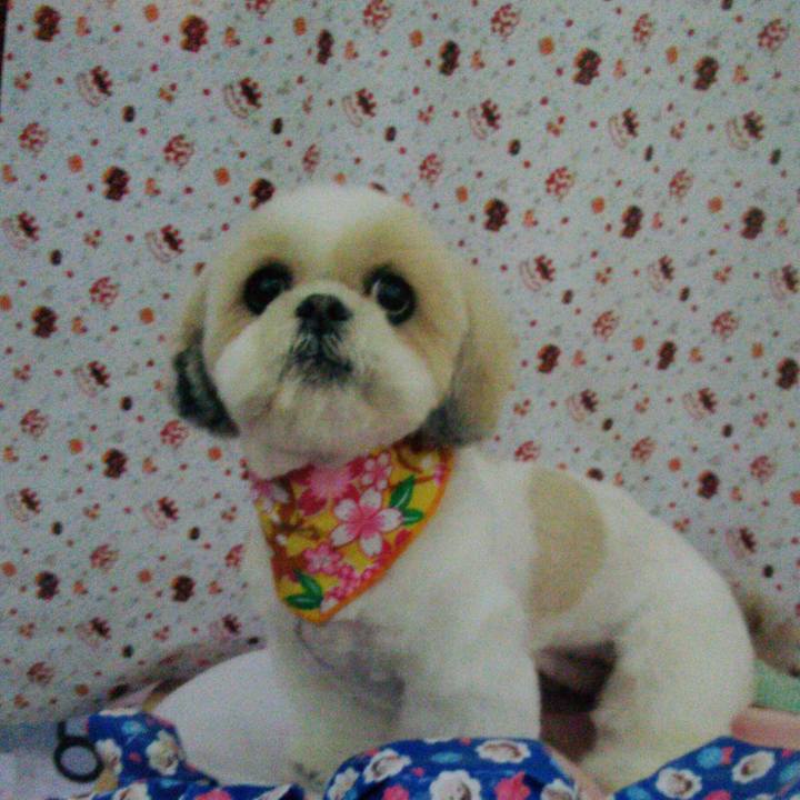 D5ae07aa fbf2 4032 8401 3902f7e66ab1 1510048185464