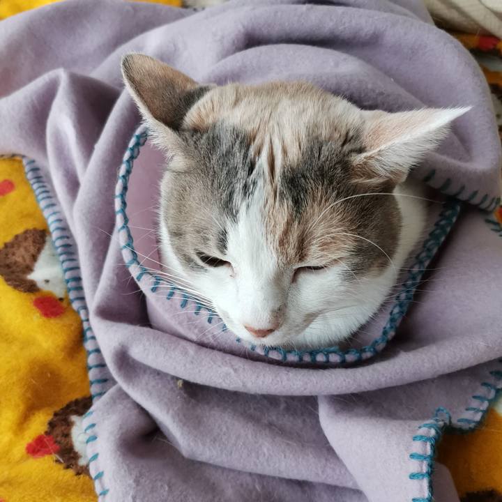 D5ae094e 2c72 4f92 81de 8714b36a1153 1674357951943