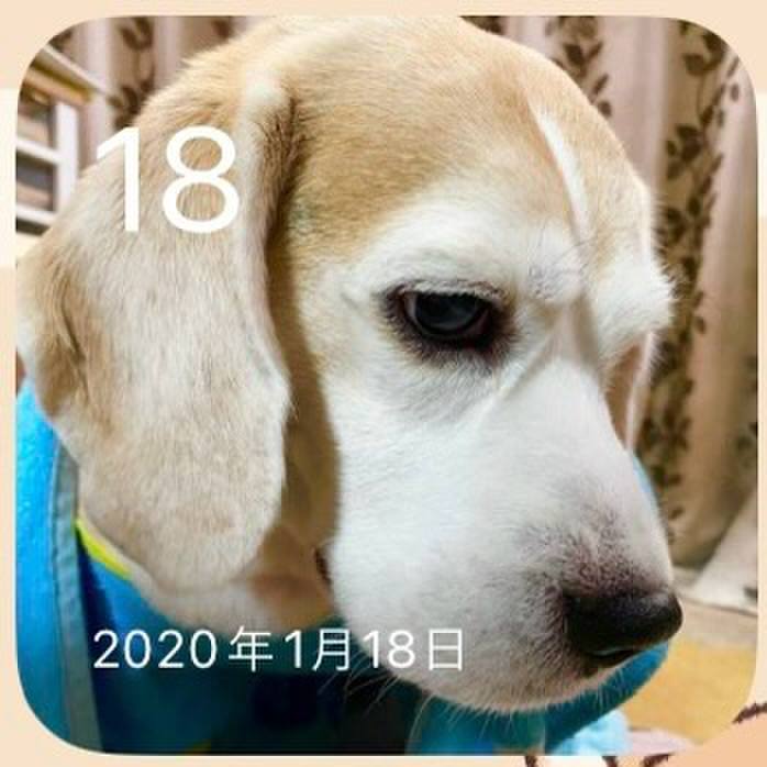 D5ae1df1 c878 42df be0a b45483a7aa37 1705536760393