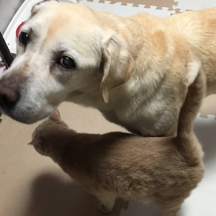 D5ae37b8 70c7 40e1 b791 21fee0bbd8ae 1538229868738