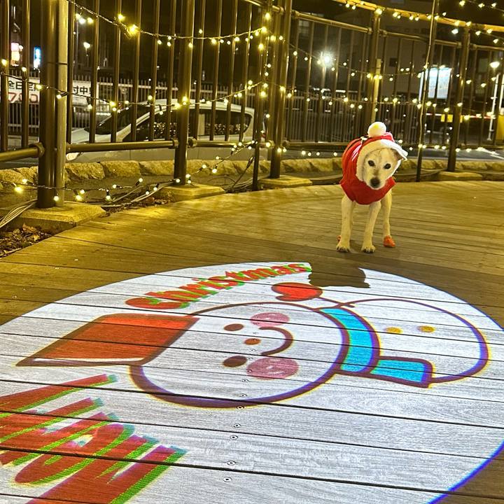 D5ae3e23 f86e 4507 9feb 795f4e96101e 1671869681644