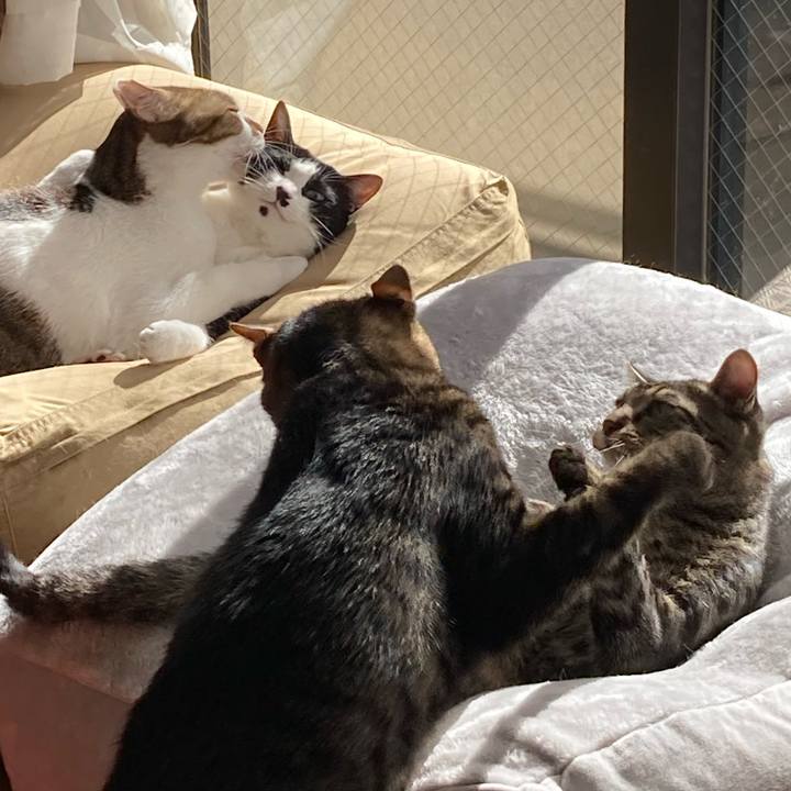 D5ae5045 5aee 4d2e aa51 28e6dfdc6e4a 1639731475106