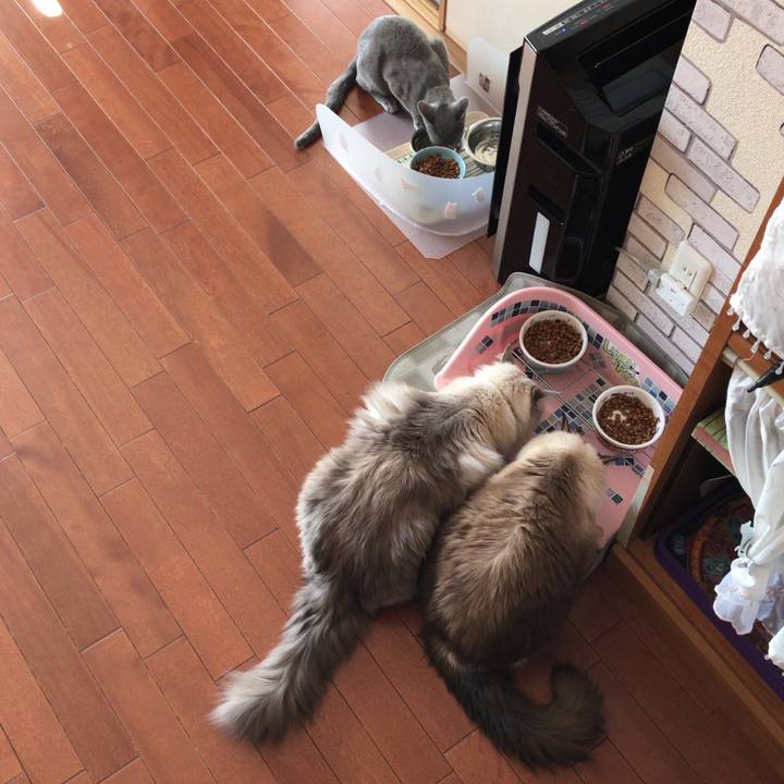 D5ae6670 f604 413e 8b06 96fc489bf663 1511690633091