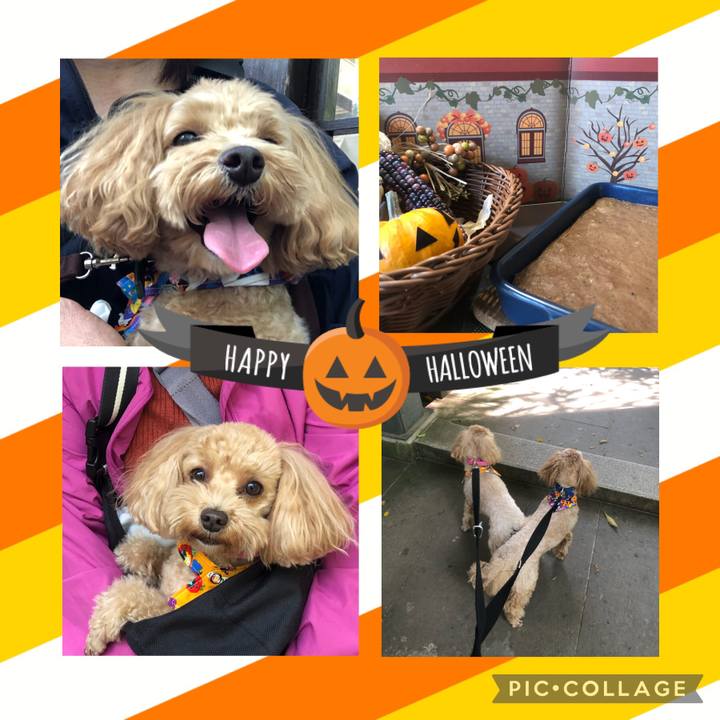 D5ae767d 6fbc 49af a0c3 0dc68423a5e2 1667115959616