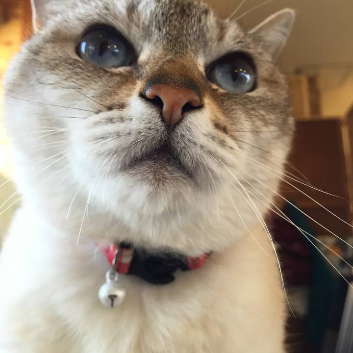 D5aede3a 50db 4c6e b95d 60f895fa06f7 1527840971427