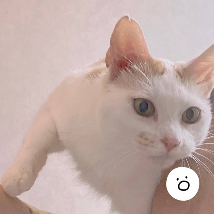 D5af1949 687c 45f6 877c 811309726e36 1659940715748