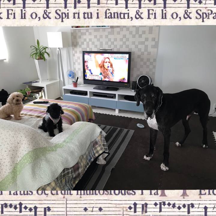 D5af1ed4 25fd 45f8 ac0b 53b05c471a73 1528930443362