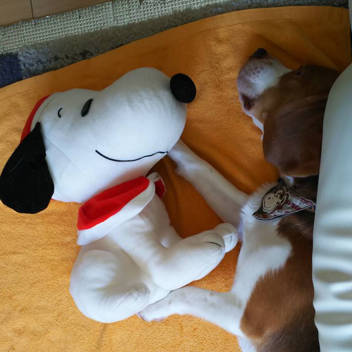 D5af24f6 4126 409b 9177 74b8d7cc2b59 1564201905065