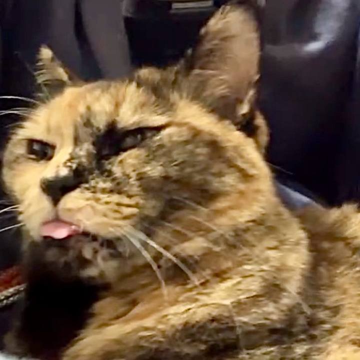 D5af5474 e5ec 41b8 9ae3 47ada7b544f8 1731230529272