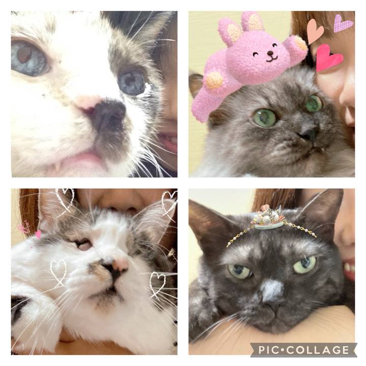 D5af70eb 45cc 46cc adc9 f1f0bf56f48d 1713668351734