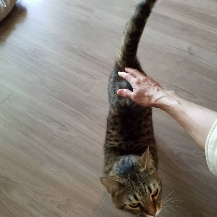 D5af8e97 0900 4a38 84e2 5dfeb914a6c7 1619732477977