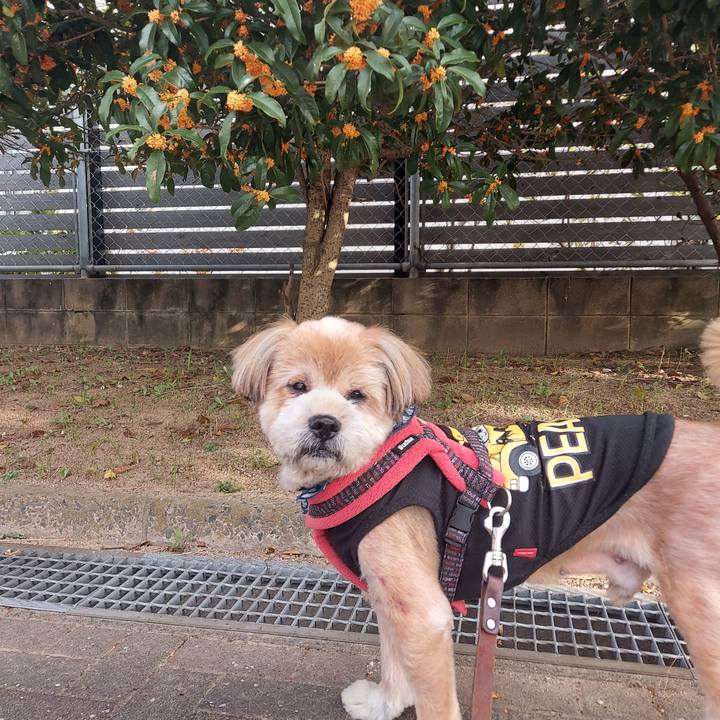 D5af91e7 4492 41c6 af39 0d7a3cc9a21d 1666051903581