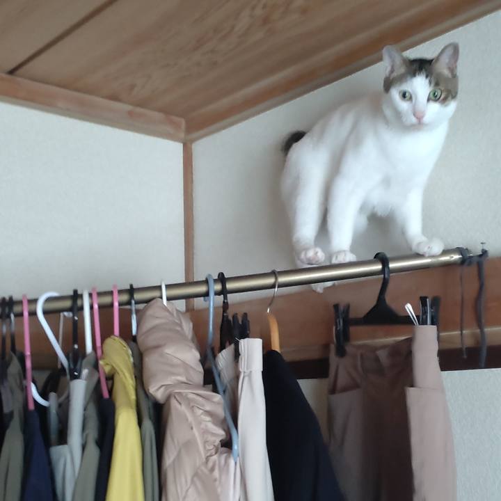 D5afb68b d5ea 4a5a 9658 6c09404c4cee 1726634375122