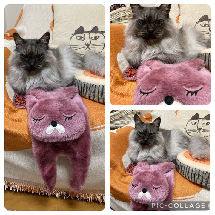 D5affd4e c44b 4f9f 997b 9f4fe1a86361 1716935141572