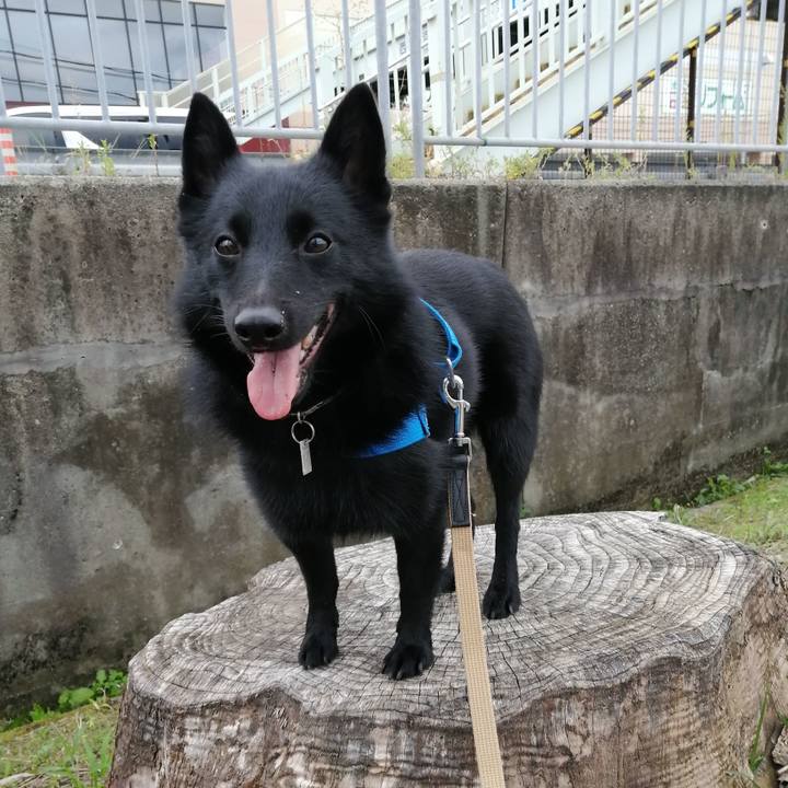 D5b0156e ab6c 4fed b932 b65be066cebc 1602369797854