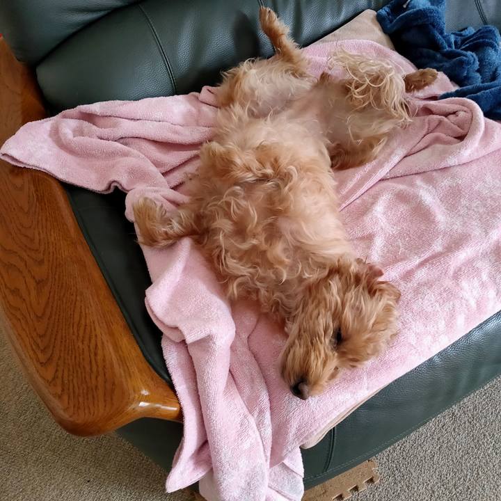 D5b0442f 0a1d 424d 88da c7d3bf536664 1606260705778