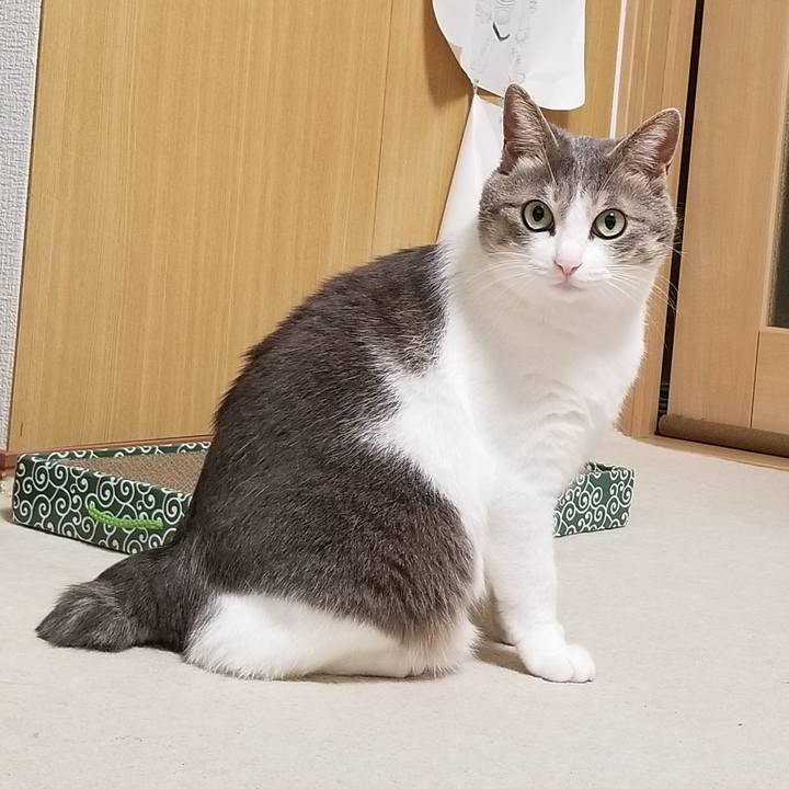 D5b05cd0 9716 4776 a428 f9ac4aecdf44 1541165669177