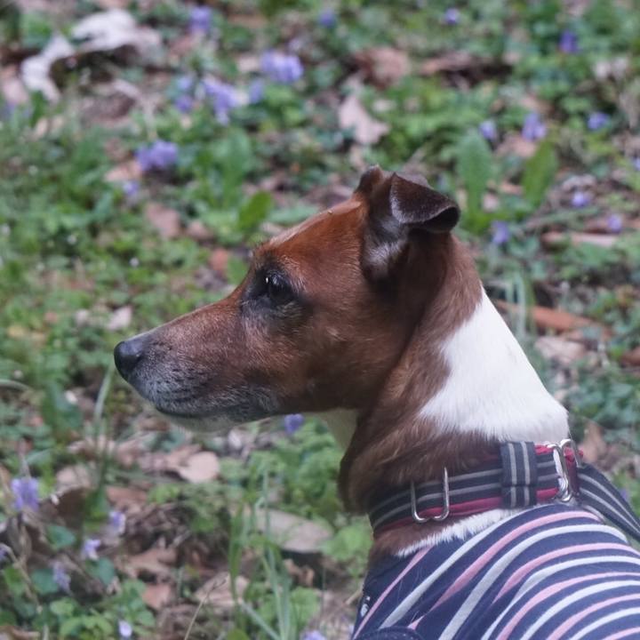 D5b0854e 90b2 46da 87e9 b5646a7f3a12 1585610506133