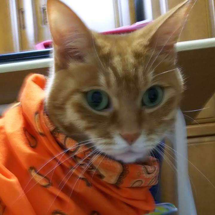 D5b0e728 4af4 4b6b 9950 21913e5be2fc 1592311011695