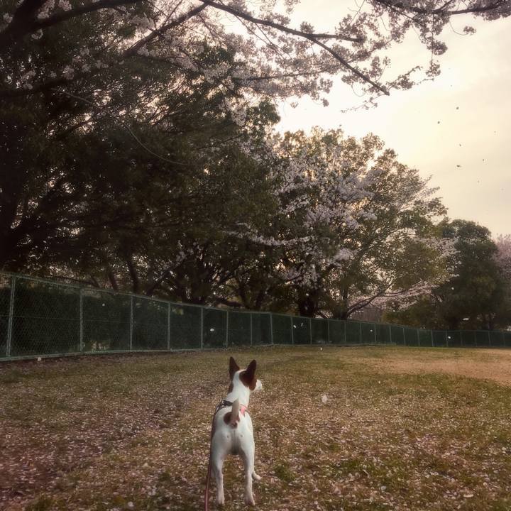 D5b0ee92 673a 4556 8fc7 dcc98dd60078 1522586826437