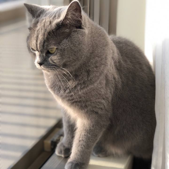 D5b1332e 0011 4157 b8d5 95c288278072 1522575187081