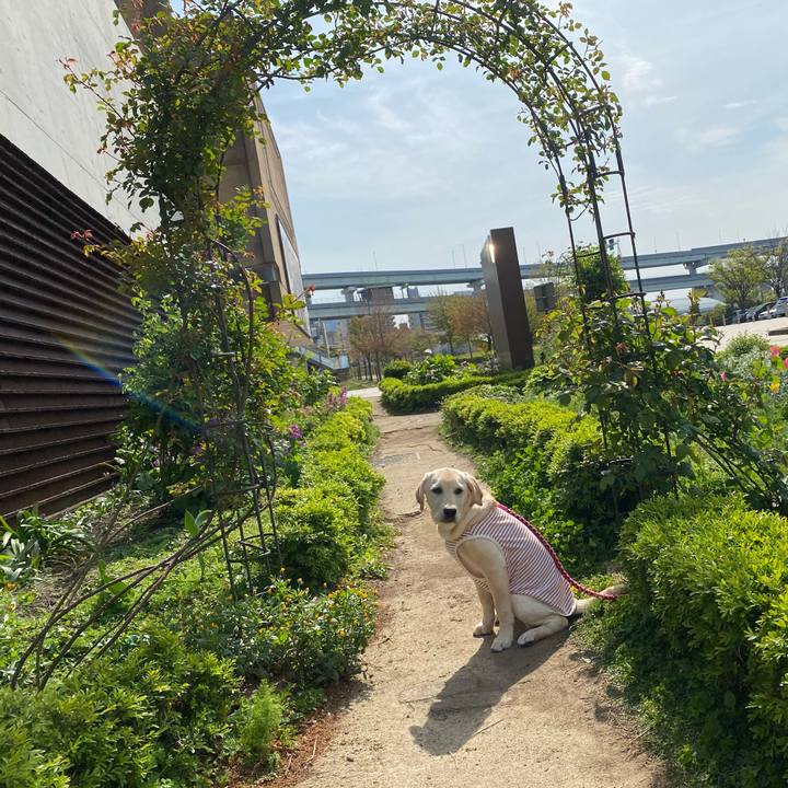 D5b15d1c 4efd 450e a2b6 e7fc401b4ea3 1618127836476