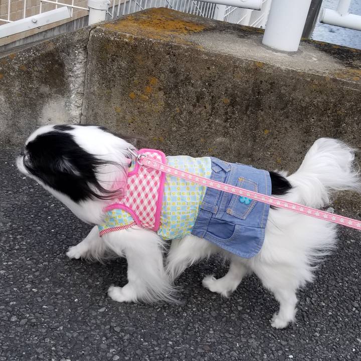 D5b18168 592d 4cc8 a06d 76494b47da5c 1550915712544