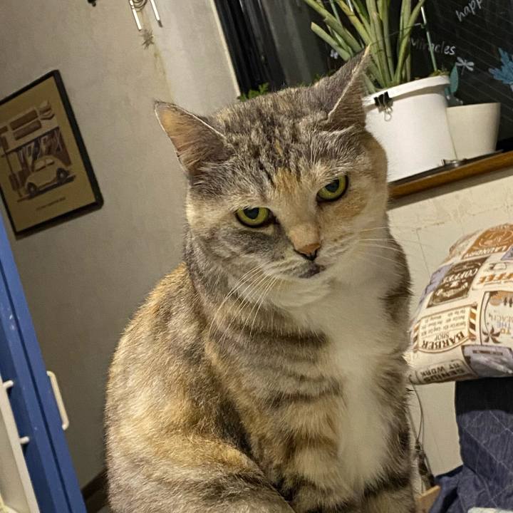 D5b1b55b e0de 4d82 9f3f b33930ca2fad 1658067530558