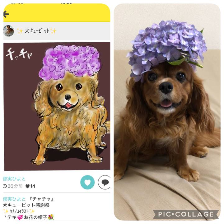 D5b1c0cf 55c6 47ed a23e 96c4624e4ba9 1640751808039