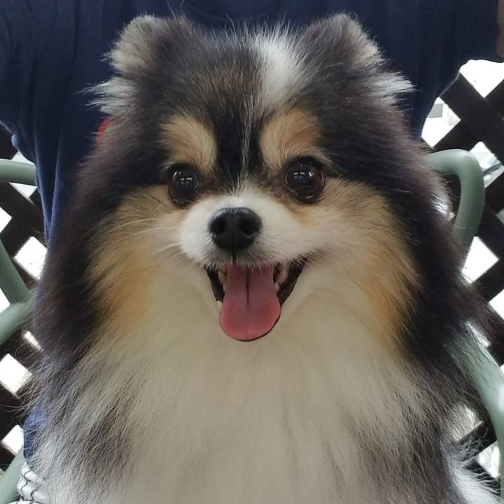 D5b1e095 87ad 4ce6 b510 4094bb817cf2 1593331412051