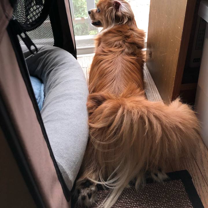 D5b1ec39 3312 48c9 a978 17e5c578e39a 1531863745270