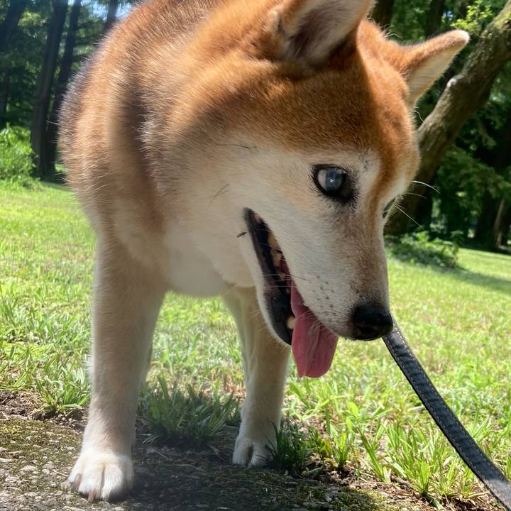 D5b1f79f a37e 452a 9099 20f91426eb2c 1687664428248