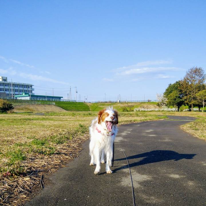 D5b1fcf4 f2a8 4488 b606 6a5cedff22c9 1553992145429