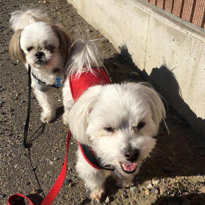 D5b20df2 17c8 4790 8c18 e9983f7159de 1546230194686