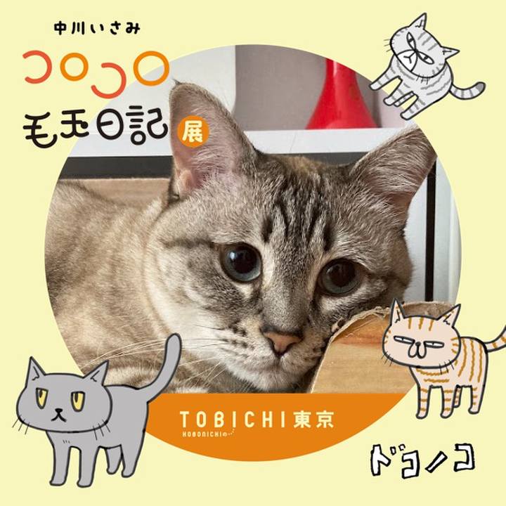 D5b21872 21ff 4b4c 840b d5d7342c010a 1740220714717