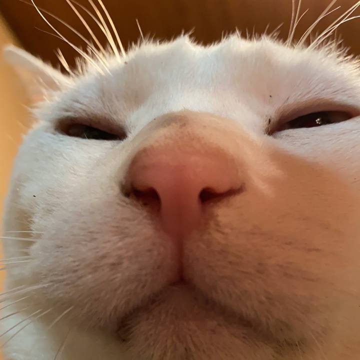 D5b2236e 9dce 40f8 9c64 e68aa76b0b31 1586898577052