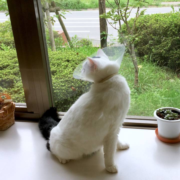 D5b227ac a4ad 4457 b35f 7eee5bff8061 1567576974172