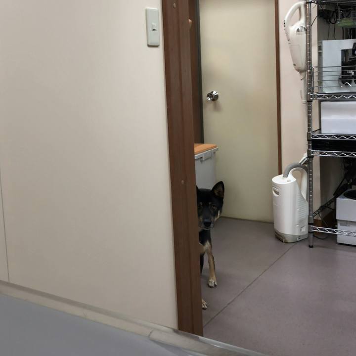 D5b26eec b861 4bc0 bfe7 e4e89183a174 1539005185653