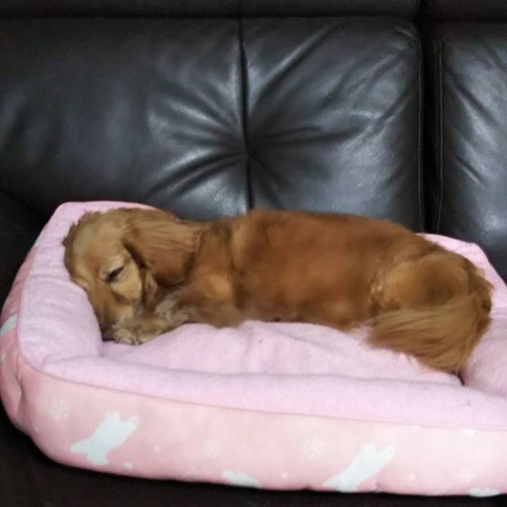 D5b2a349 2eb9 419b adee 21d5a4f6a8ed 1588600560226