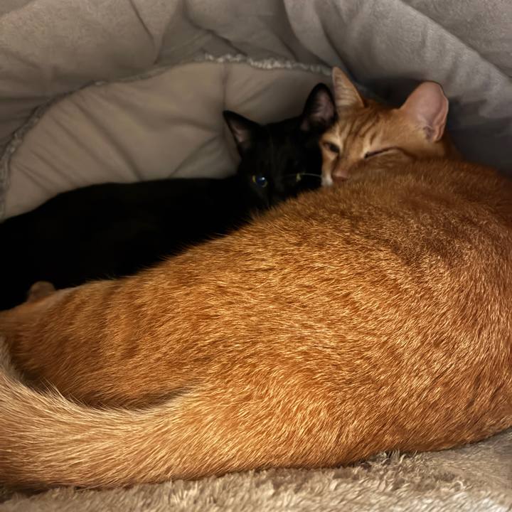 D5b2c64b 35ab 4c97 8999 2c8496651fad 1761961297242