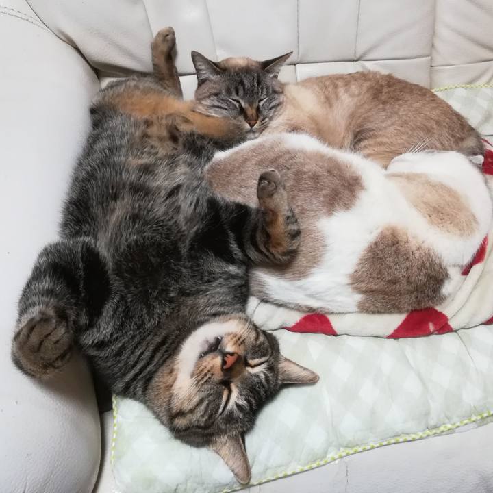 D5b2d159 5693 4db6 b113 b38f6a1044ba 1581074708062