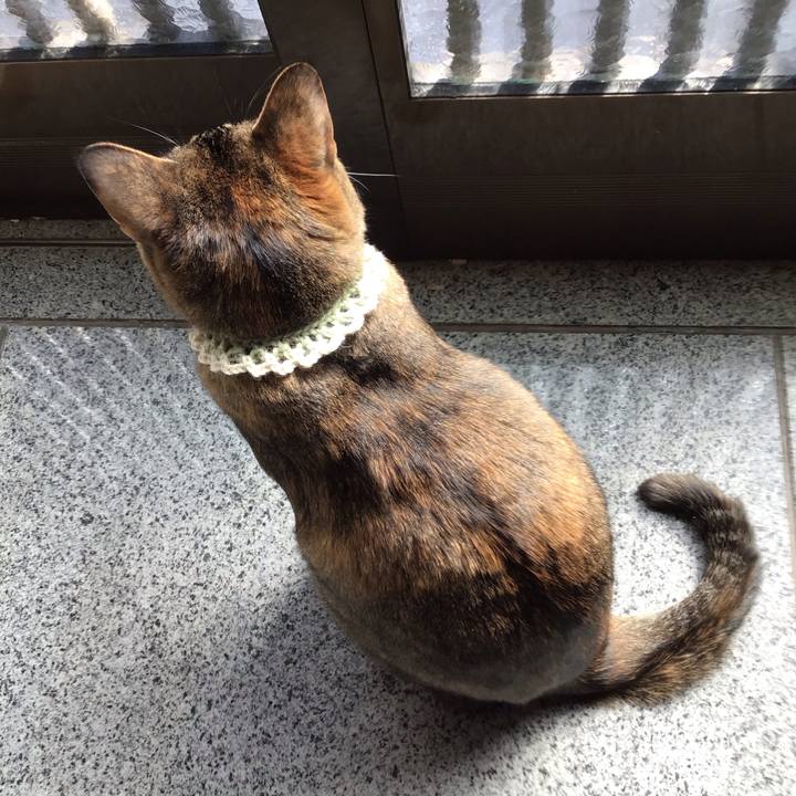 D5b30174 e082 4dde 8df6 978594eed8a3 1646282076789