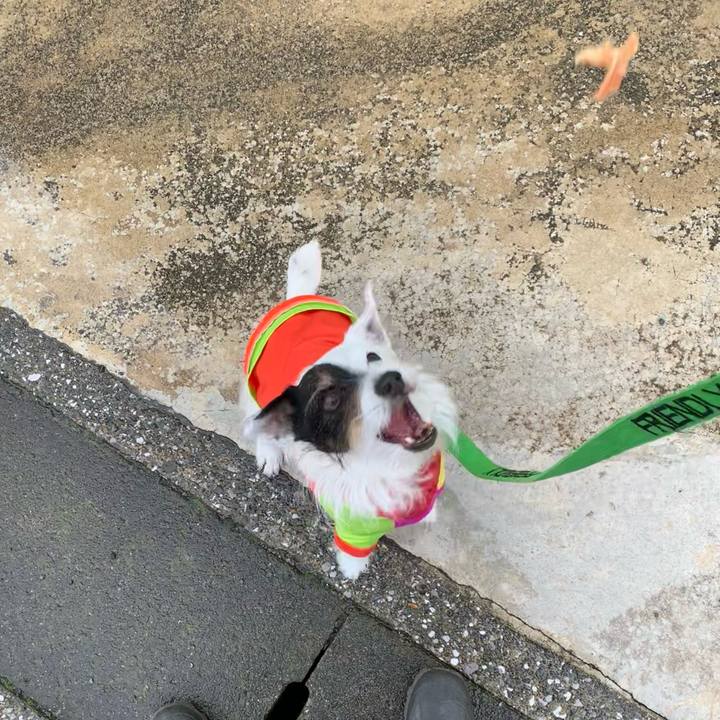 D5b348be 0588 4816 9b64 a83824ef36b5 1684805637912