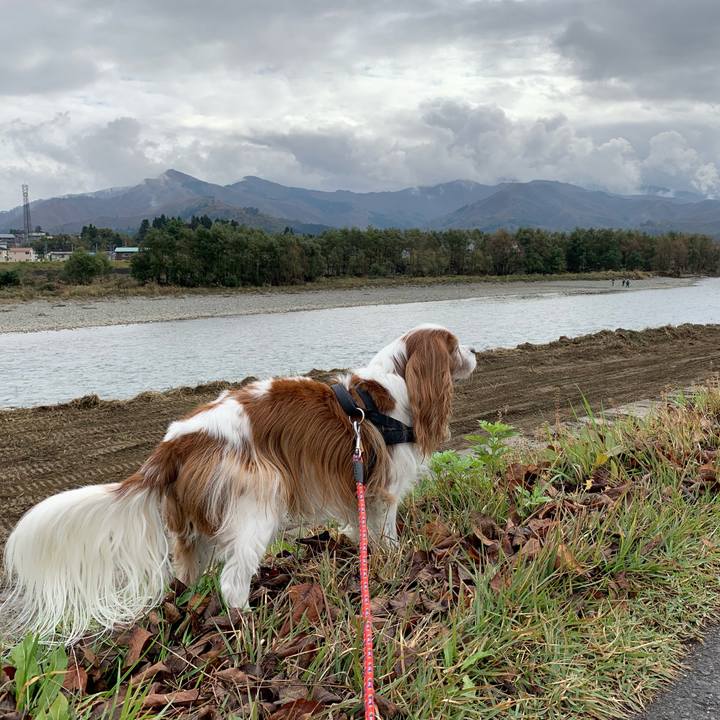 D5b34c09 dde5 4ba3 b38e 6f6d36b158ab 1573354572937