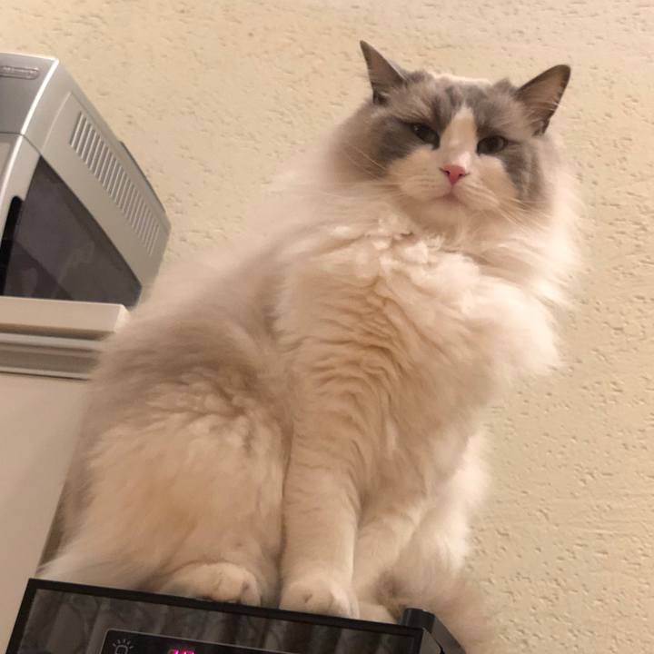 D5b3662a 842e 4d74 8974 c1d1e9f0f2d7 1582678837501