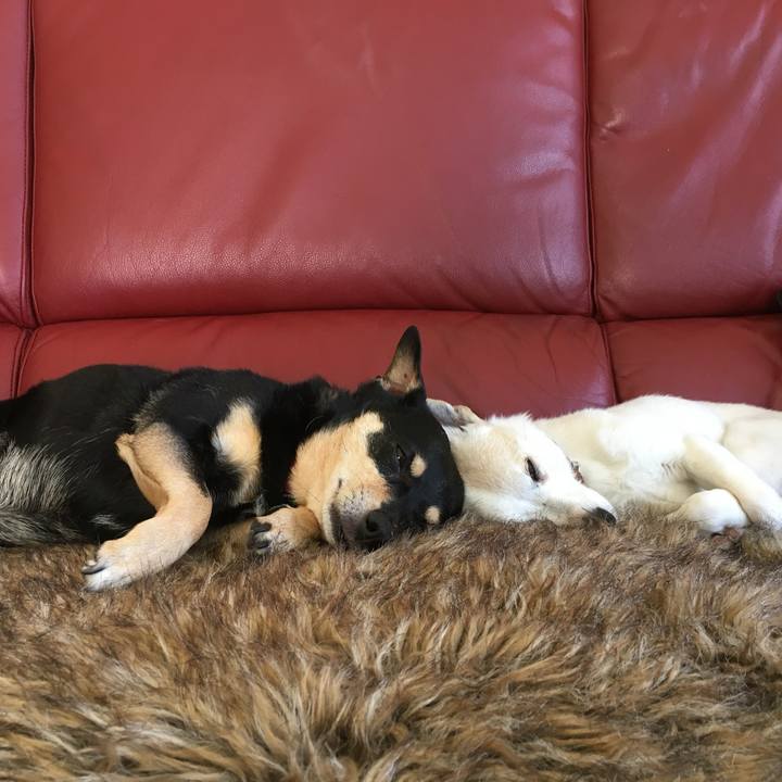 D5b36add 12c4 42ce 9153 bfc61f0b3f3c 1763180207636