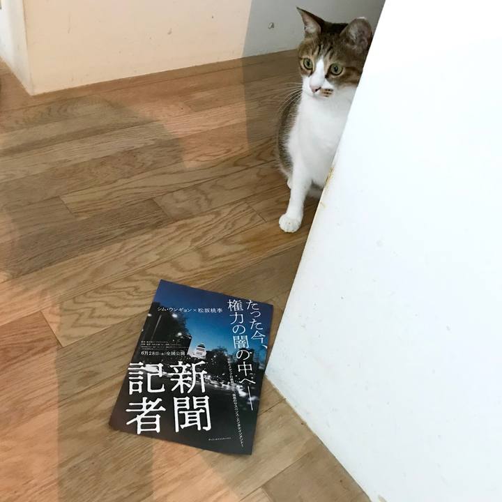 D5b37e6b 25da 4556 8fc8 3cb5399b4e85 1562401573416