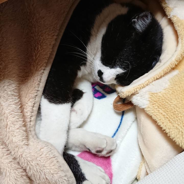 D5b3ca0e daa0 499f 9096 ea8fb009f86c 1638340775486