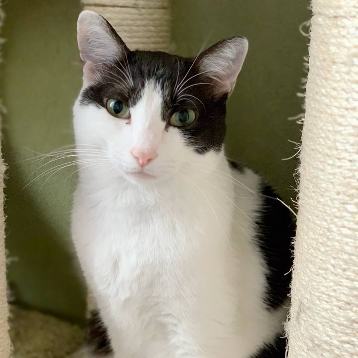 D5b3e314 3e32 4b80 9d34 cf2e34a75c39 1539739980715