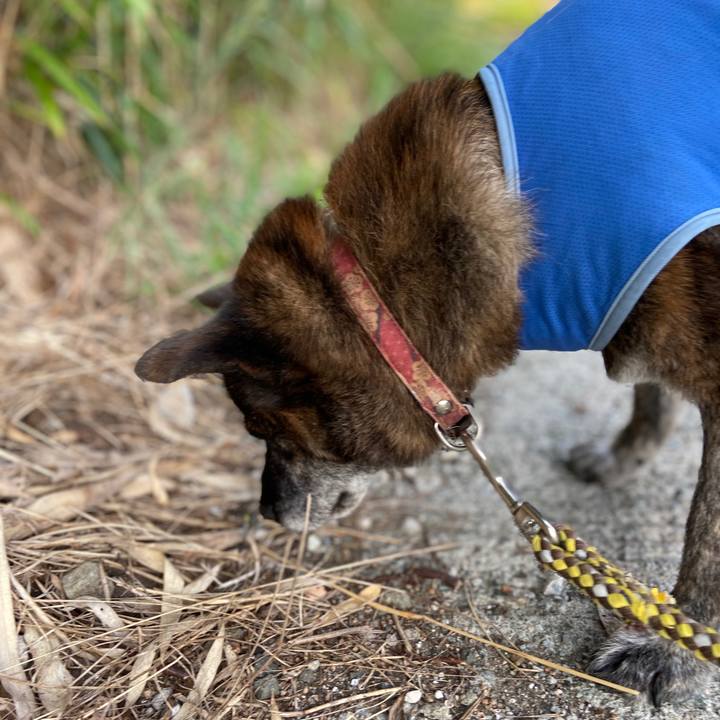 D5b3e7b7 99b6 4f34 8a06 dc9d01f5193a 1599469915476